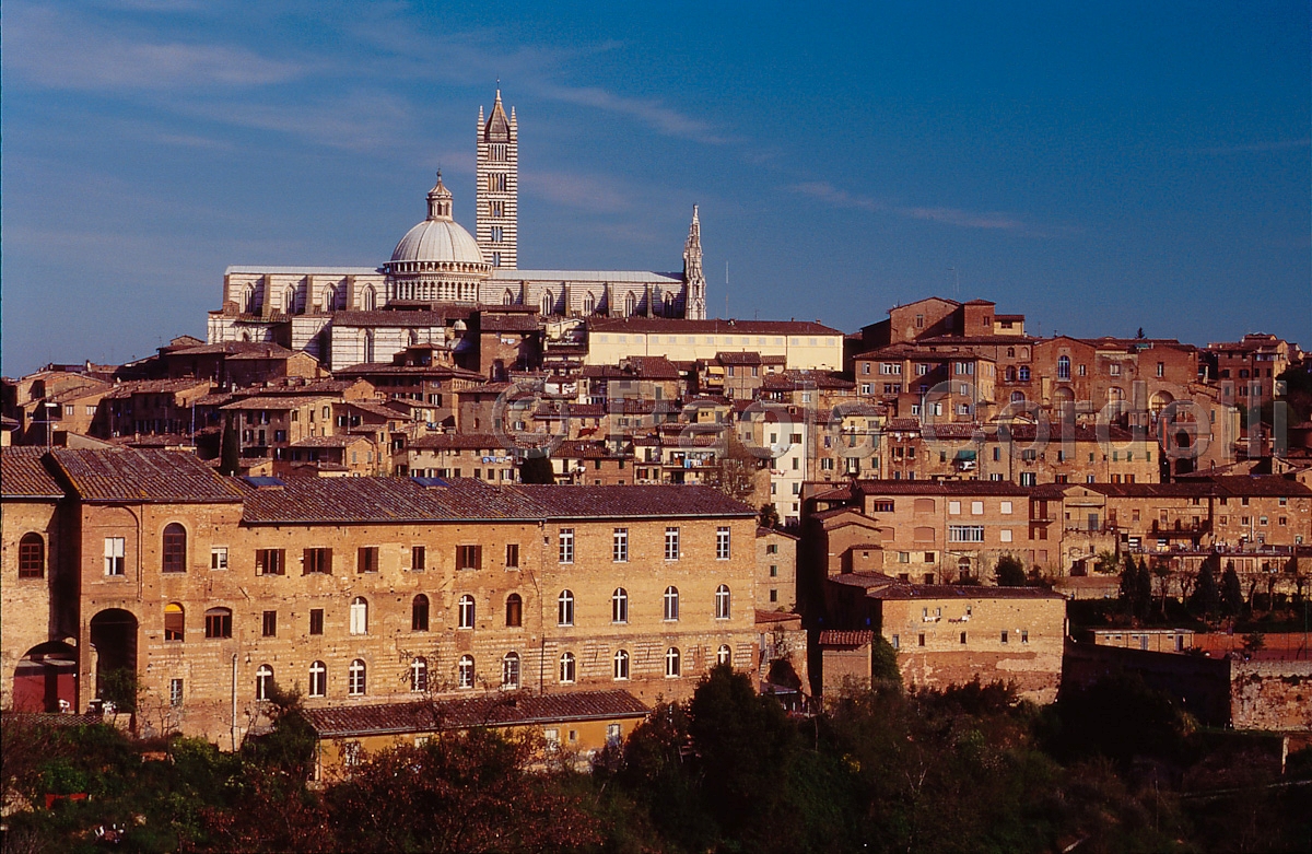 Siena, Tuscany, Italy
(cod:Tuscany 37)